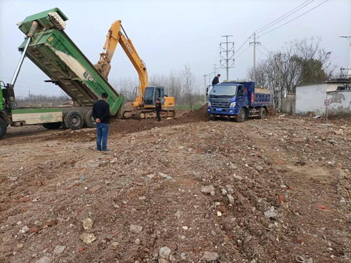 龍子湖住建局以創(chuàng)新模式開(kāi)啟東部門(mén)戶綠化建設(shè)工程